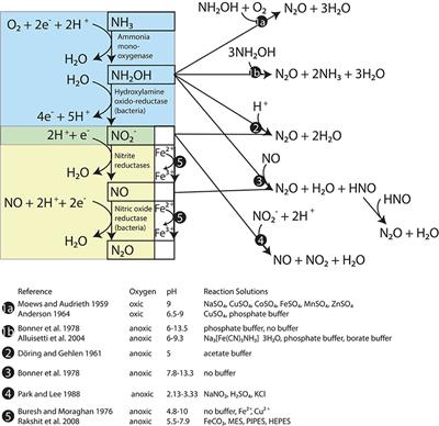 Acidification Enhances Hybrid N2O Production Associated with Aquatic Ammonia-Oxidizing Microorganisms